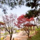 공간꽃조경