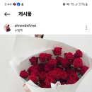 아넌드포레