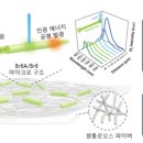 인하대학교박물관 이미지