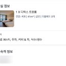 1004모텔 | 울산 일산지 타니베이호텔 ㅣ 가성비 오션뷰 끝판왕 내돈내산 솔직후기