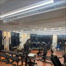 드라코짐 이미지