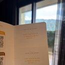 골드독 | 신라호텔 비발디파크 소노펫 골드 파크뷰 가족여행 후기(소노펫스포트, 골드룸 내부, 띵킹독 꿀팁, 주차)