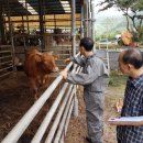 고령축산 이미지