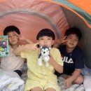 국가대표 삼성태권도장 이미지