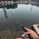 선재낚시공원 별관 | 🎣 선재낚시공원 좌대낚시 우럭낚시 후기｜조황