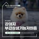 제주24시숨동물의료센터 이미지