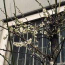 금강산 감자탕 이미지