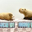 (주)바라 이미지