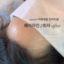마리엘헤어 이미지