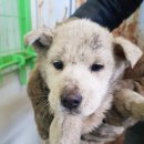 용소금각로 이미지