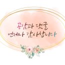 분당플로라 이미지