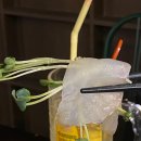 술펑취펑 이미지