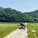 유아 마라톤 대회🏃(1) 이미지