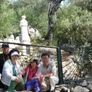 발현목장 이미지