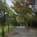 전원유치원 | 대전 전원유치원 상담 입학설명회