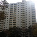 하단동233 이미지