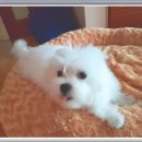 날마다 생일민박 이미지