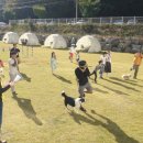 푸른바다독스쿨 이미지