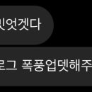 몽골적 이미지