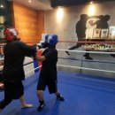 보문복싱 이미지