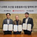 글로벌 이미지