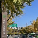 불광2-050 | 은평구 불광 카페 프리롤 , 노트북하기 좋은 곳! 조용한 분위기, 뷰 맛집✨