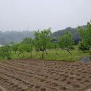 오찬농장 이미지