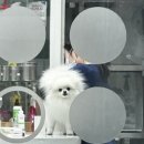 건우동물병원 이미지