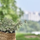 꽃이야기 이미지