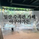 주말 아기랑 가기 좋은 일산 수족관 카페 :: 아쿠아가든