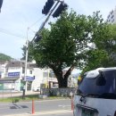 경화당한의원 이미지