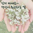 선유중학교 이미지