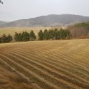 영광목장 이미지