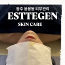 에스떼젠 - 북구 용봉동 | 에스떼젠