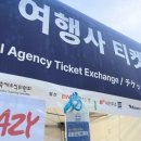 광안리 불꽃축제 황홀했던 순간! 초록배낭 세븐브릿지 x 불꽃축제 투어 후기!