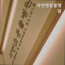 자연앤동물병원 네이버블로그