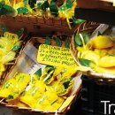 스테디(Steady) 이미지