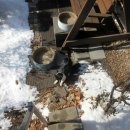 은애마당 이미지