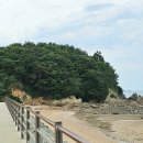 발이봉길 이미지