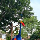 (주)아미랜드 | 상해)여행2 여섯 번째 이야기. 디즈니랜드 트론, 롤링래피드 30분컷 후기, 잭 스패로우 캐릭터 그래팅