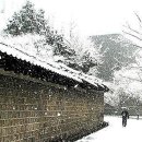 광화문연가 이미지