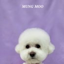 MUNG MOO 이미지