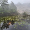 ◎ 지리산 세석평전 비처(祕處)에 숨겨진 "청학연못" 찾아서 이미지