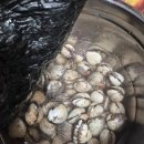 유진수산 이미지