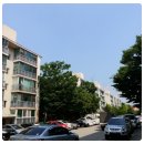 새안약국 이미지