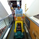 해여림식물원 | 여주 해여림 식물원 캠핑장 여행후기