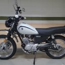 스타일튜닝 이미지