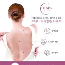 뉴바디랩 이미지