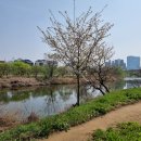 오산생태하천길(삼남길) 이미지