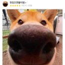 원조선산식당 | [구미] 원평동 현지인맛집 국밥 원조맛집 금촌국밥 포장후기